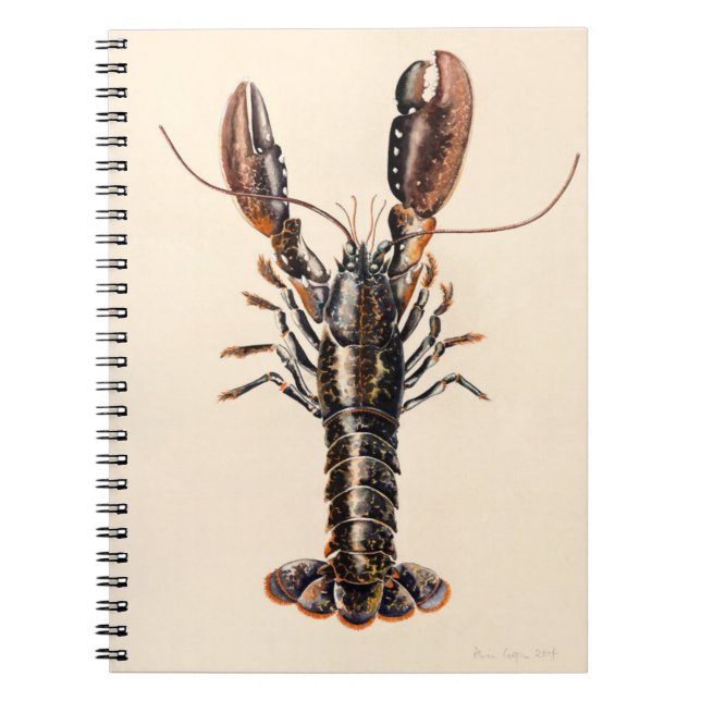 Carnet Un homard de Solva (Devant)