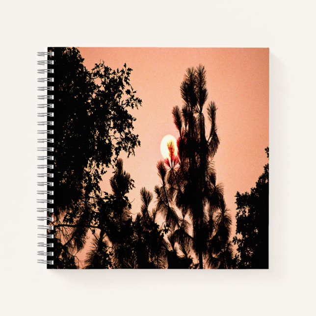 Carnet Un incendie dans la vallée de l'Inde....... (Devant)