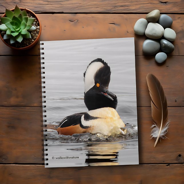 Carnet Un Merganseur Surpris (Surprised Hooded Merganser in the Pond Journal Cover Photo)