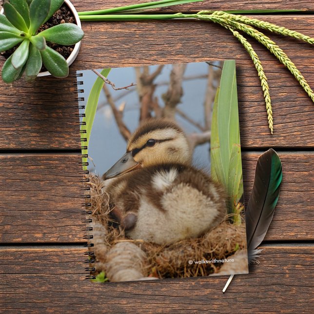 Carnet Un mignon canard à colle et précieux (Mallard Gosling at the Pond Journal Cover Photo)