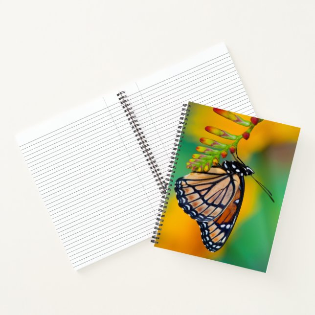 Carnet Un papillon amiral sur des fleurs (Intérieur)
