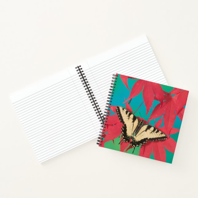 Carnet Un papillon Papilio canadensis (Intérieur)