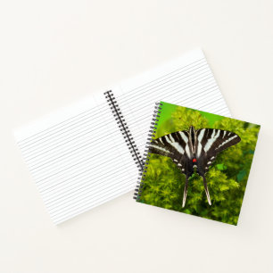 Carnet Un papillon swallowtail nord-américain