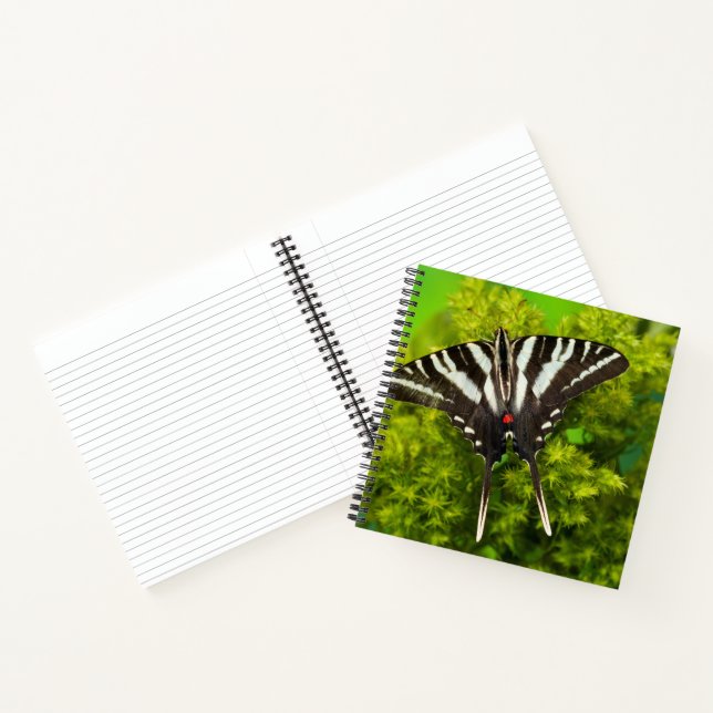Carnet Un papillon swallowtail nord-américain (Intérieur)