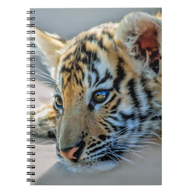 Carnet Un petit tigre mignon (Devant)