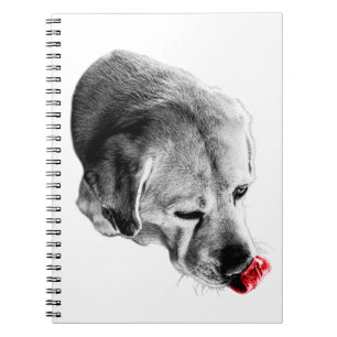 Carnet Un peu d'inspiration