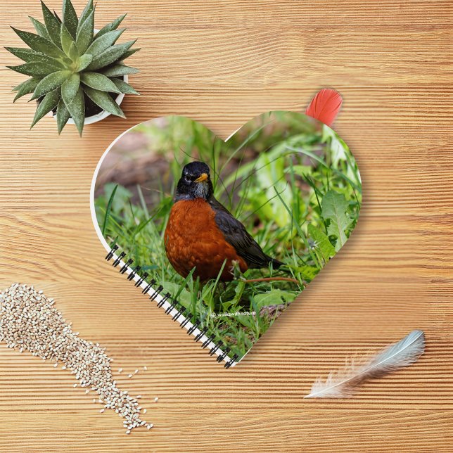 Carnet Un robot américain curieux et plein d'espoir (Curious American Robin in the Grass Journal Cover Photo)