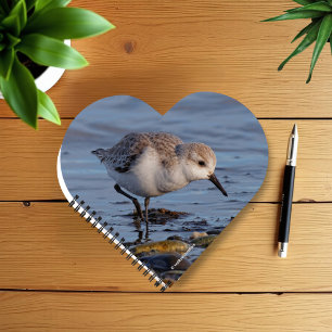 Carnet Un Sanderling