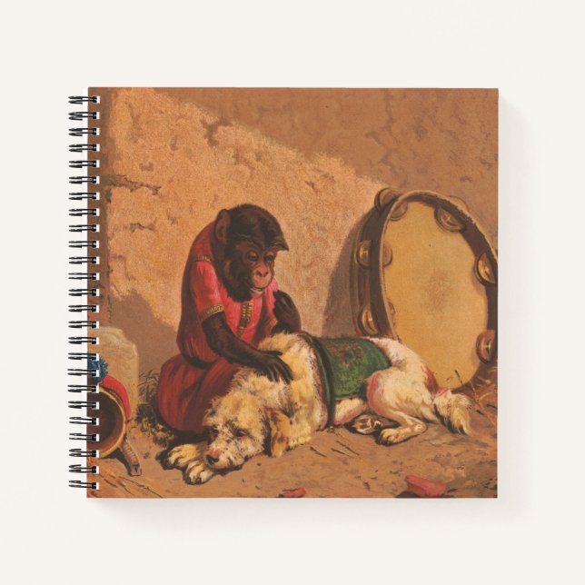 Carnet Un Singe Et Un Chien Avec Un Grand Tambourin (Devant)