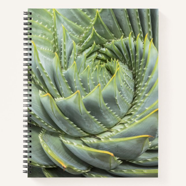 Carnet Un succès vert et blanc (Devant)