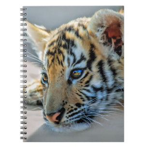 Carnet Un tigre de bébé mignon