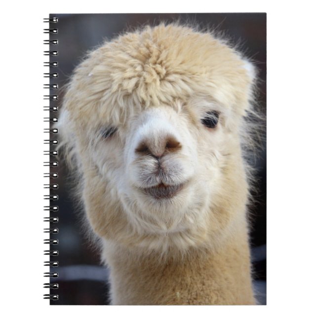 Carnet Un visage mignon et duveteux d'alpaca       (Devant)