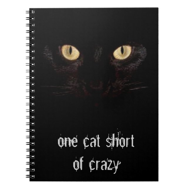 Carnet une chatte en moins (Devant)