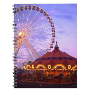 Carnet Une grande roue et un carrousel au Navy Pier à