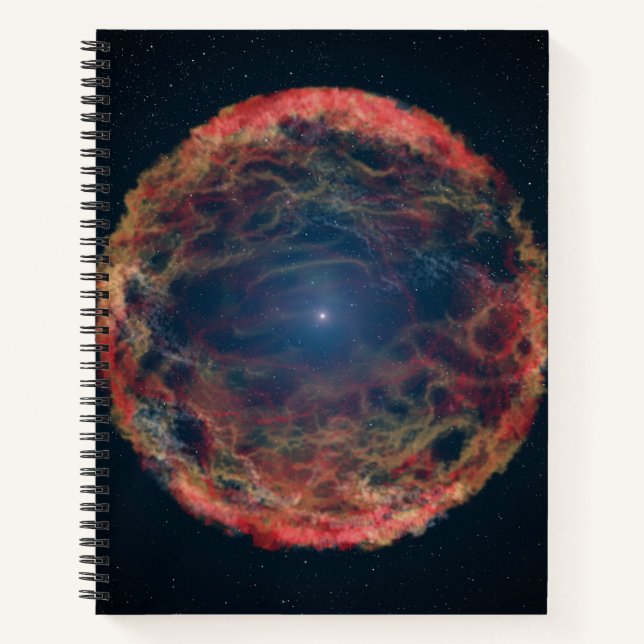 Carnet Une Impression Artiste De Supernova 1993j. (Devant)