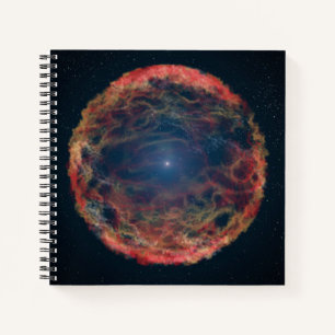 Carnet Une Impression Artiste De Supernova 1993j.