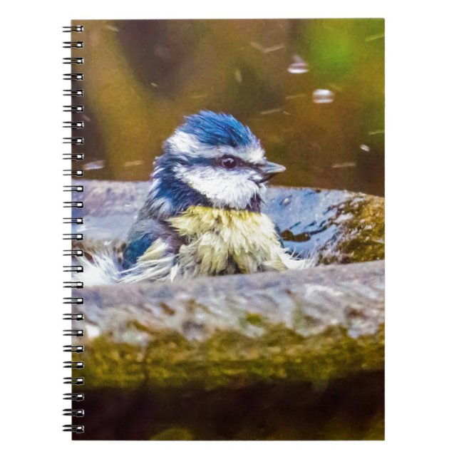 Carnet Une mésange bleue dans la vasque (Devant)