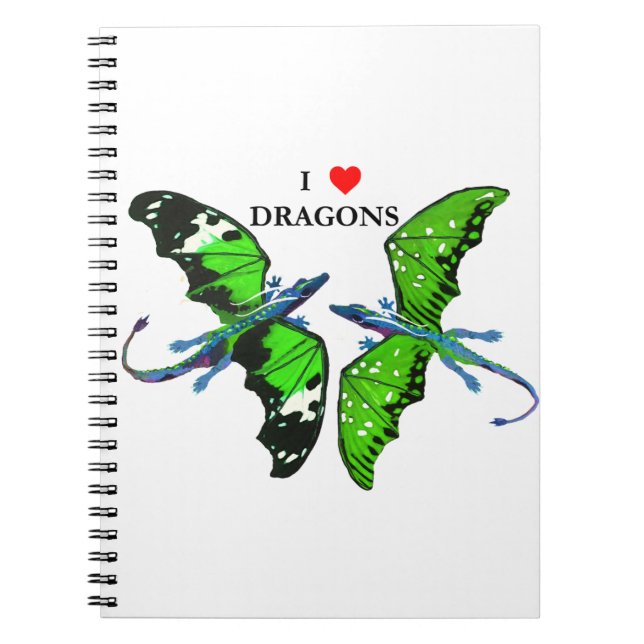 Carnet Une paire de dragons (Devant)
