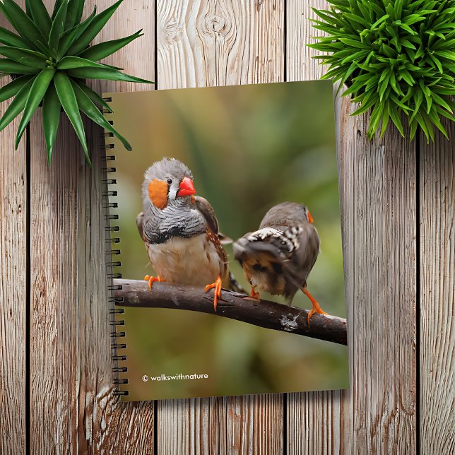 Carnet Une paire de poches de Zebra Finches (Cheeky Pair of Zebra Finches Journal Cover Photo)