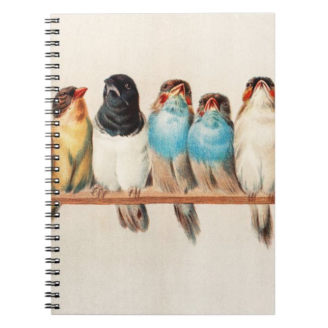 Carnet Une perche d'oiseaux par Hector Giacomelli (Devant)