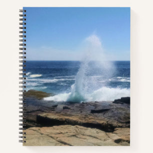 Carnet Une touche d'aventure à Schoodic Point