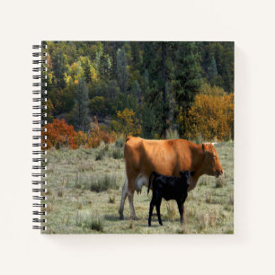 Carnet Une vache et son veau...