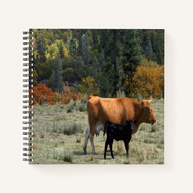 Carnet Une vache et son veau... (Devant)