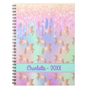 Carnet Unicorns rose menthe gouttes nom holographique fil