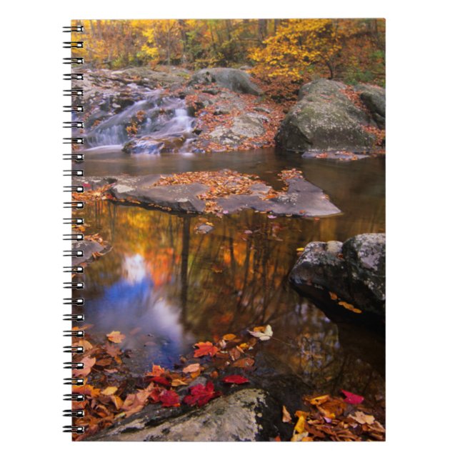 Carnet Upper Whiteoak Falls, parc national de Shenandoah, (Devant)