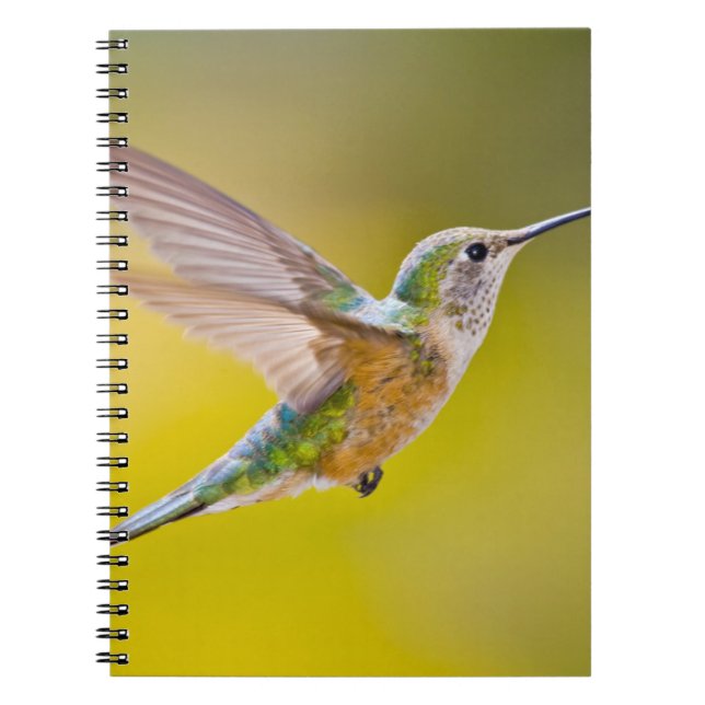 Carnet USA, Colorado, Summit County, Heeney. Vue de côté (Devant)