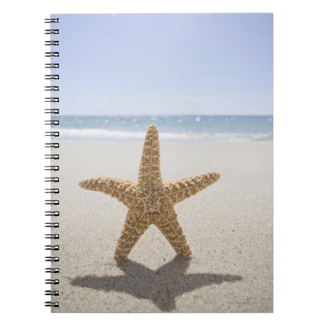 Carnet USA, Massachusetts, Cape Cod, Nantucket, fermeture (Devant)