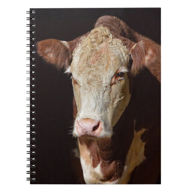 Carnet Vache grincheuse (Devant)