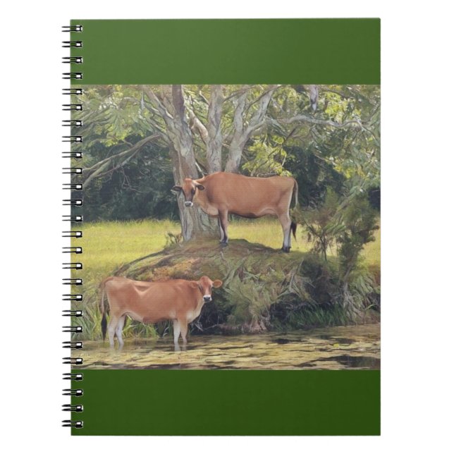 Carnet Vaches de campagne (Devant)