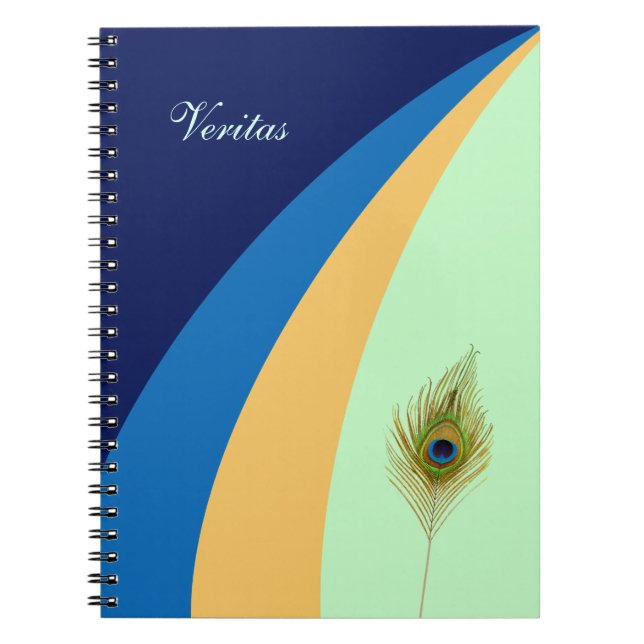 Carnet Vagues abstraites et plume de paon (Devant)