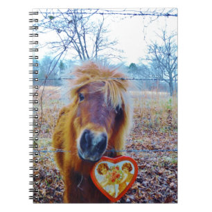 Carnet Valentine Heart Horse