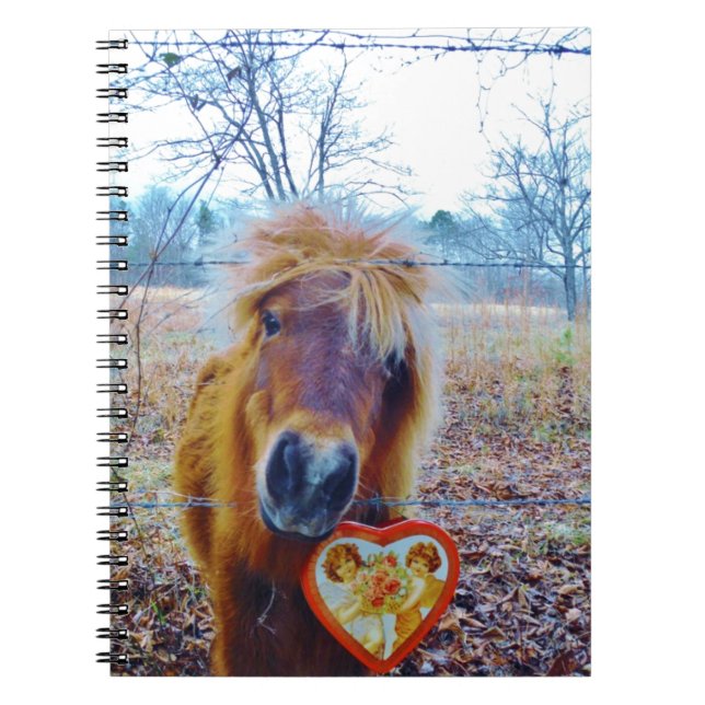 Carnet Valentine Heart Horse (Devant)