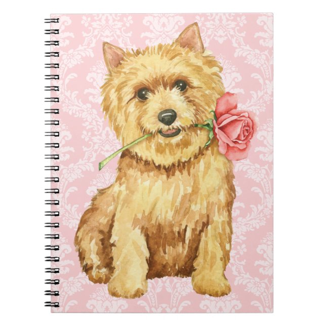 Carnet Valentine Rose Norwich Terrier (Devant)
