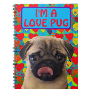Carnet Valentines Love Hearts Photo Carlin Chien