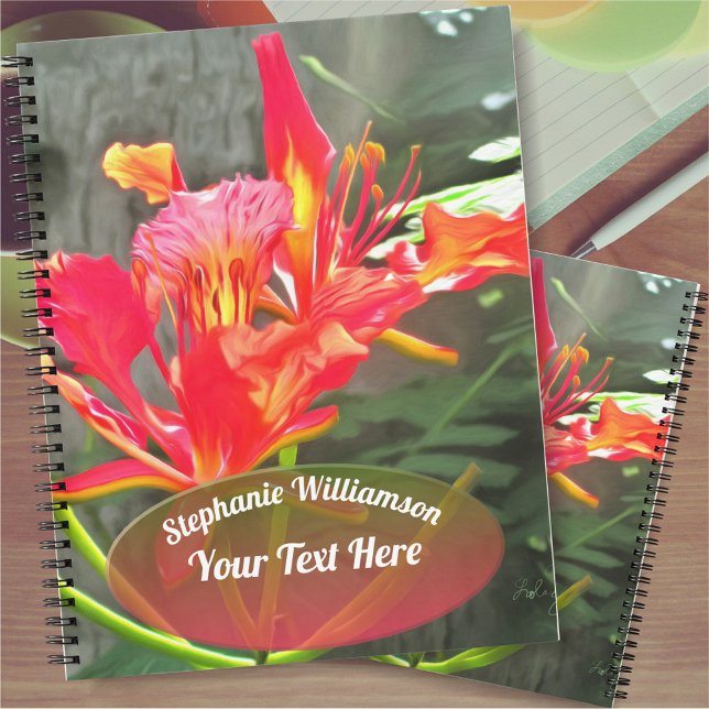 Carnet Vallarta Flaming Beauty 1583 (Créateur téléchargé)