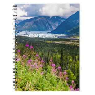 Carnet Vallée de Matanuska, centre-sud de l'Alaska