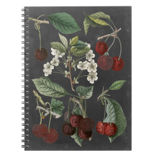 Carnet Variétés de verger I