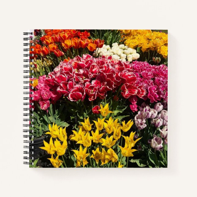 Carnet Variety of Tulips (Devant)
