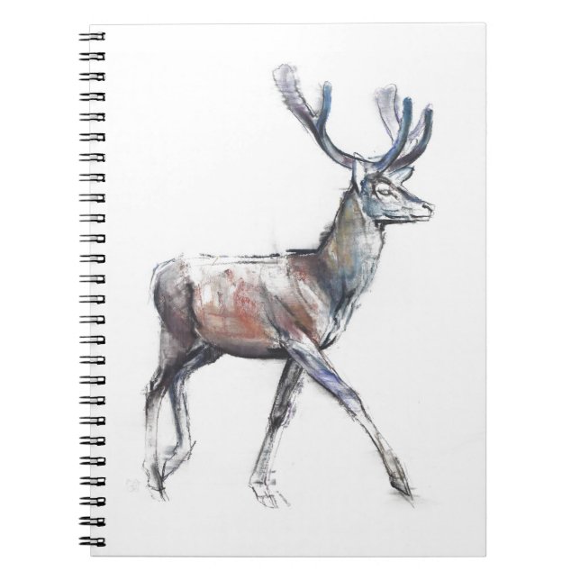 Carnet Velours 2006 (Devant)