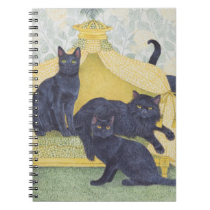 Carnet Velours noir