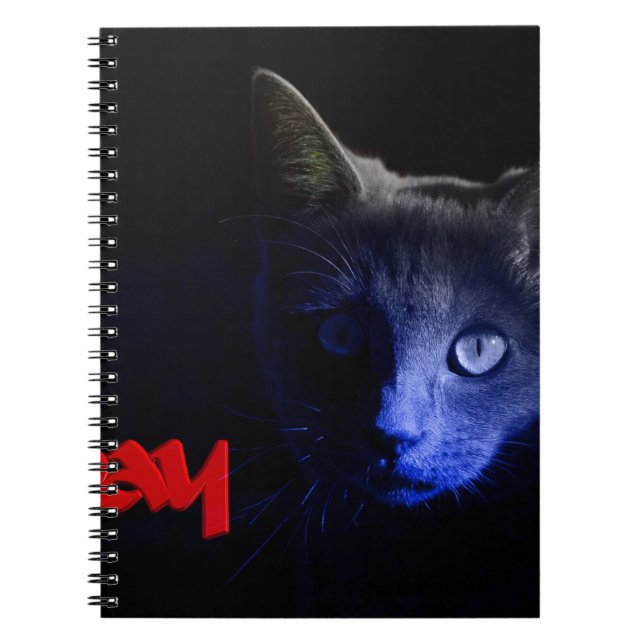 Carnet vendredi 13 (Devant)