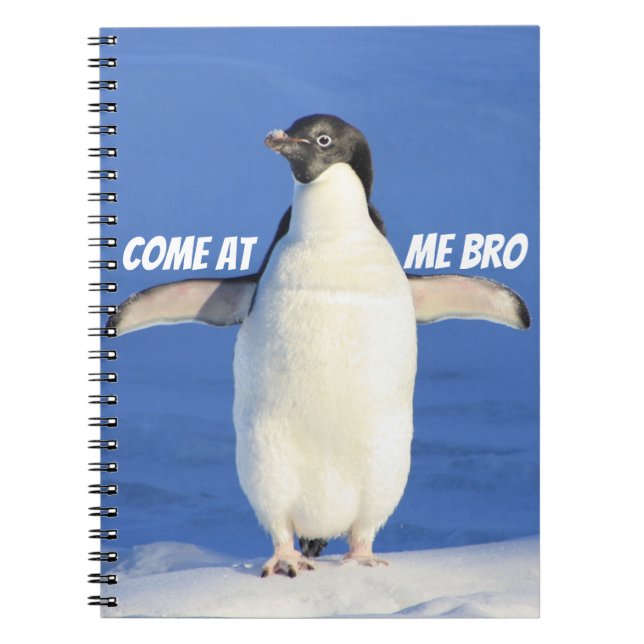 Carnet Venez à moi pingouin drôle de Bro Meme (Devant)