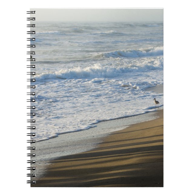 Carnet Vérification Du Rivage (Devant)