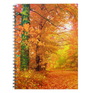 Carnet Vermont Autumn Nature Paysage