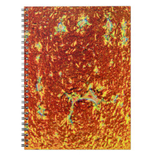 Carnet Verre fusionné or