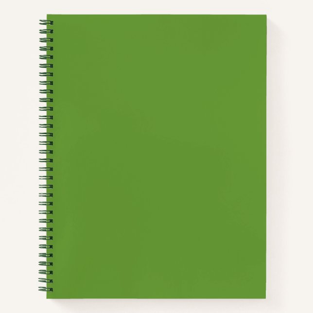 Carnet Vert Avocat (Devant)
